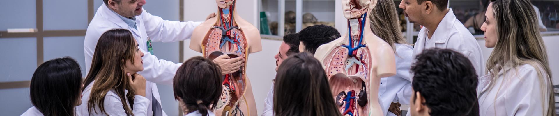 Medicina